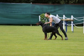 European Dobermann Trophy - Daskarera Dobermann Kennel